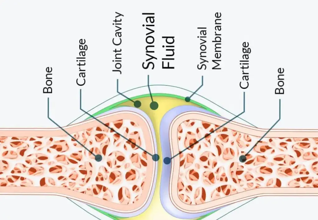 Joint Genesis really works